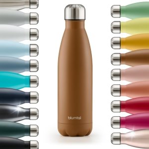 promo Blumtal® Bouteille isotherme Charles- Gourde 350ml - Gourde inox sans BPA froid&chaud- Thermos isotherme en métal- Bouteille d'eau- Gourde acier inoxydable- Bouteille isotherme 350ml en Marron