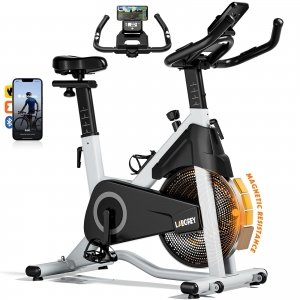 promo LABGREY Vélo d'Appartement, Vélo de Fitness et d'Exercice d'Intérieur, Résistance Magnétique Ajustable, Compatible avec KINOMAP et ZWIFT, Écran LCD Silencieux pour Entraînement Cardio à la Maison