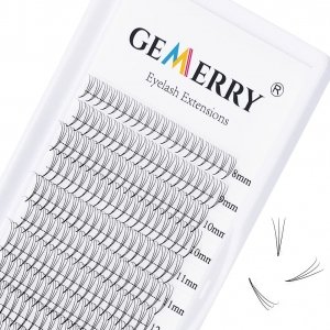 promo Cils Prefait Premade Fans Cils Volume Russe Extension 3D Cils Bouquet Soie 0.07 C curl 8-14mm Mix Lash Extensions de GEMERRY (3D-0.07-C-mix 8-14mm)