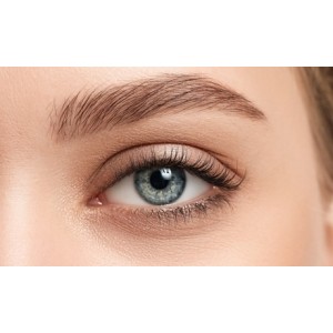 promo Browlift avec épilation et teinture des sourcils